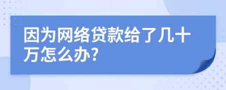 因为网络贷款给了几十万怎么办?