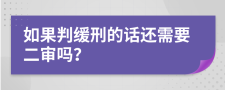 如果判缓刑的话还需要二审吗？