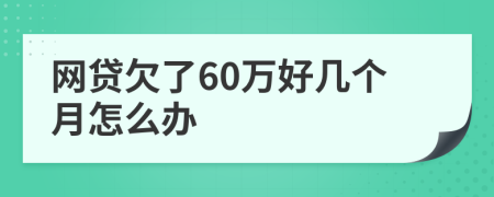 网贷欠了60万好几个月怎么办