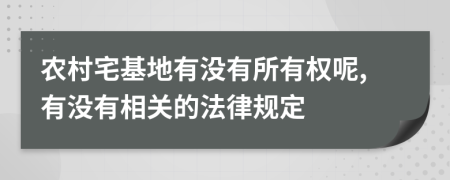 农村宅基地有没有所有权呢,有没有相关的法律规定