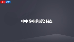 中小企业的融资特点