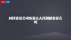 村民委员会可以设立人民调解委员会吗