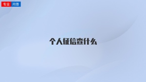 个人征信查什么