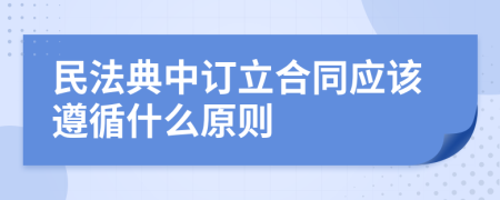 民法典中订立合同应该遵循什么原则