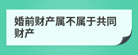 婚前财产属不属于共同财产