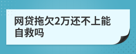 网贷拖欠2万还不上能自救吗