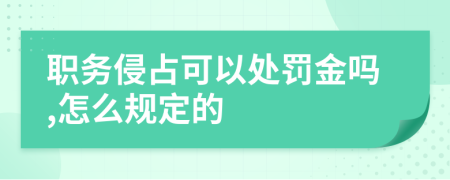 职务侵占可以处罚金吗,怎么规定的