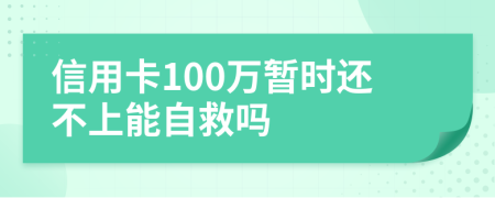 信用卡100万暂时还不上能自救吗