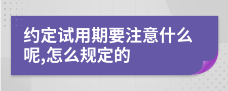 约定试用期要注意什么呢,怎么规定的