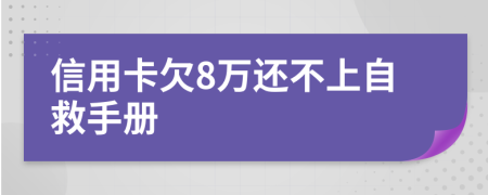 信用卡欠8万还不上自救手册