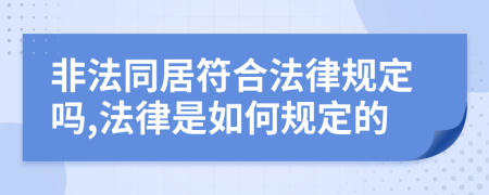 非法同居符合法律规定吗,法律是如何规定的