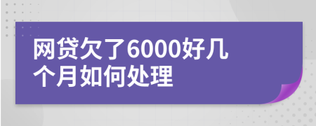 网贷欠了6000好几个月如何处理