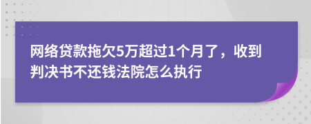 网络贷款拖欠5万超过1个月了，收到判决书不还钱法院怎么执行