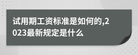 试用期工资标准是如何的,2023最新规定是什么