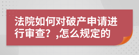 法院如何对破产申请进行审查？,怎么规定的