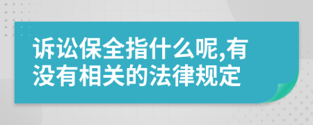 诉讼保全指什么呢,有没有相关的法律规定