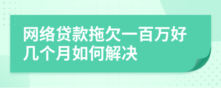 网络贷款拖欠一百万好几个月如何解决