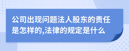 公司出现问题法人股东的责任是怎样的,法律的规定是什么