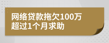 网络贷款拖欠100万超过1个月求助