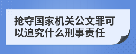 抢夺国家机关公文罪可以追究什么刑事责任