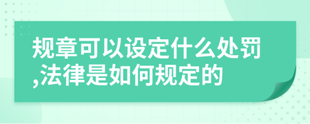 规章可以设定什么处罚,法律是如何规定的