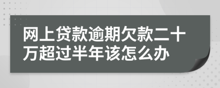 网上贷款逾期欠款二十万超过半年该怎么办