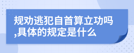 规劝逃犯自首算立功吗,具体的规定是什么