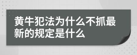 黄牛犯法为什么不抓最新的规定是什么