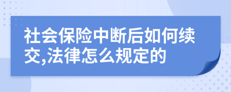 社会保险中断后如何续交,法律怎么规定的