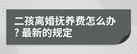 二孩离婚抚养费怎么办? 最新的规定