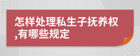 怎样处理私生子抚养权,有哪些规定