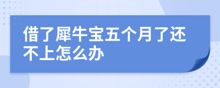 借了犀牛宝五个月了还不上怎么办