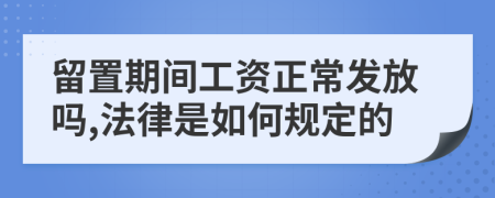 留置期间工资正常发放吗,法律是如何规定的