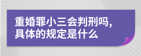 重婚罪小三会判刑吗,具体的规定是什么