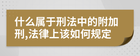 什么属于刑法中的附加刑,法律上该如何规定