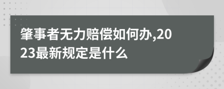 肇事者无力赔偿如何办,2023最新规定是什么