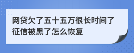 网贷欠了五十五万很长时间了征信被黑了怎么恢复