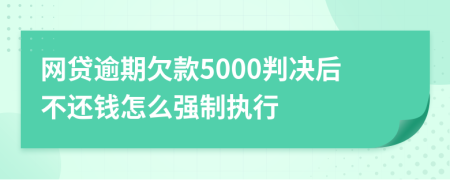 网贷逾期欠款5000判决后不还钱怎么强制执行