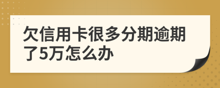 欠信用卡很多分期逾期了5万怎么办