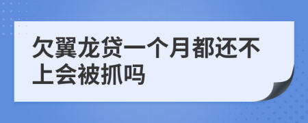 欠翼龙贷一个月都还不上会被抓吗