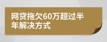 网贷拖欠60万超过半年解决方式