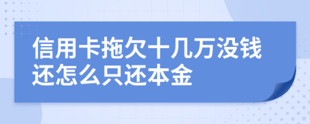 信用卡拖欠十几万没钱还怎么只还本金