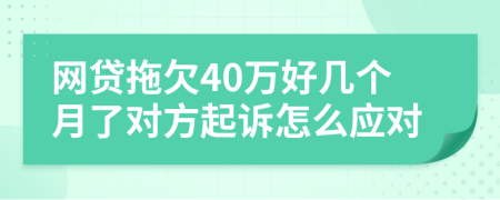 网贷拖欠40万好几个月了对方起诉怎么应对
