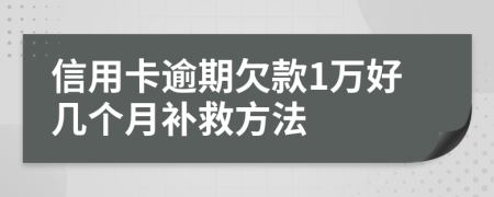 信用卡逾期欠款1万好几个月补救方法