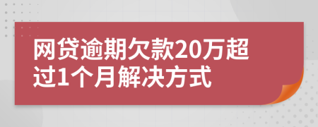 网贷逾期欠款20万超过1个月解决方式