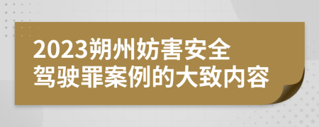 2023朔州妨害安全驾驶罪案例的大致内容