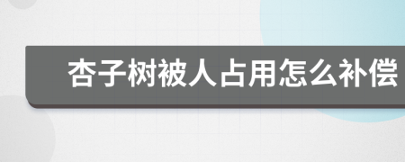 杏子树被人占用怎么补偿