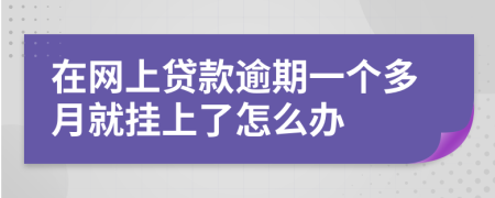 在网上贷款逾期一个多月就挂上了怎么办