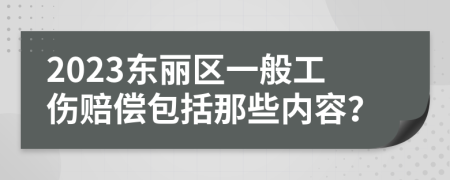 2023东丽区一般工伤赔偿包括那些内容？