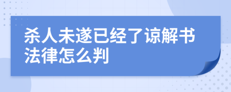 杀人未遂已经了谅解书法律怎么判